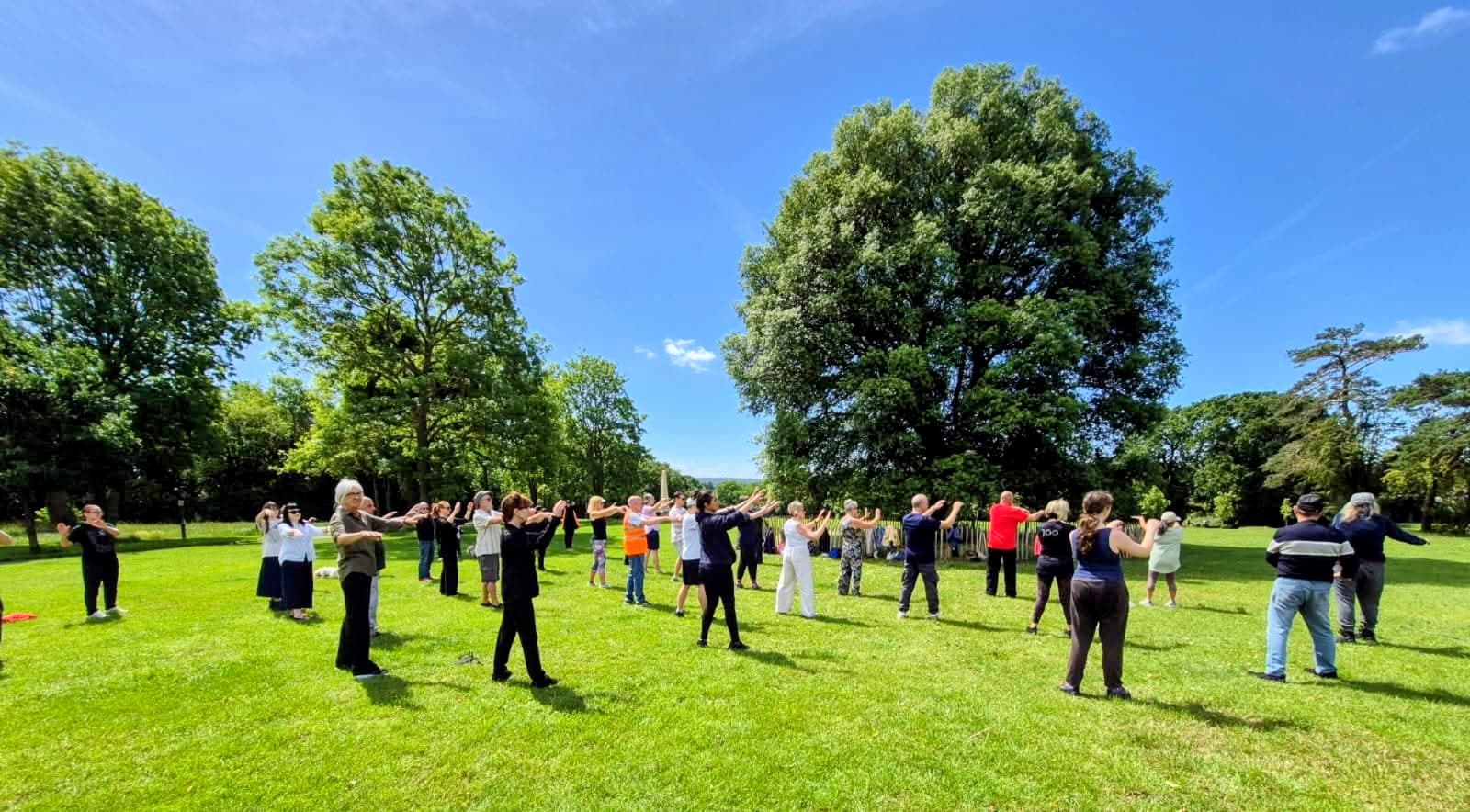 Tai Chi in Betts Park